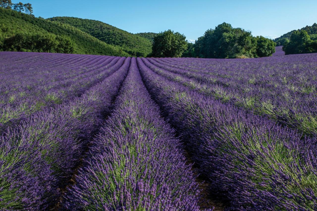 Club Vacances Bleues Domaine De Chateau Laval Греу-ле-Бен Екстер'єр фото